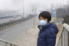 Air quality on global agenda 